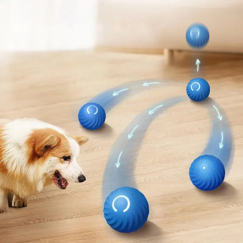 Ballon Intelligent pour Chien